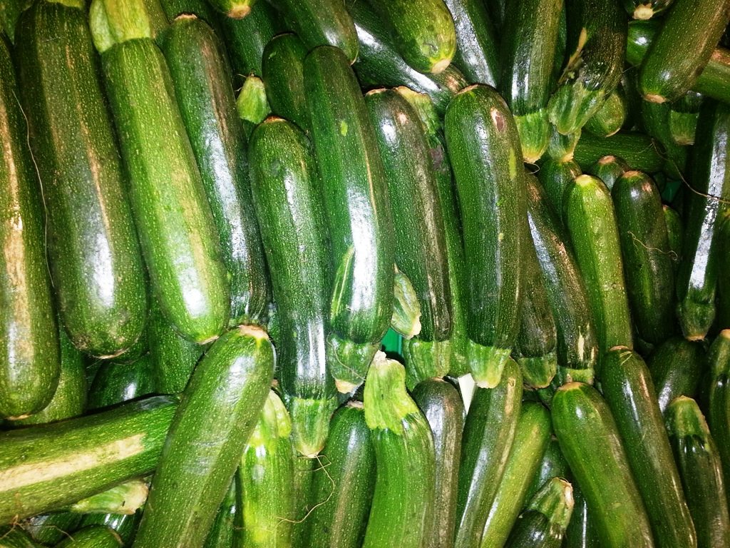 Zucchini e fiori di zucca