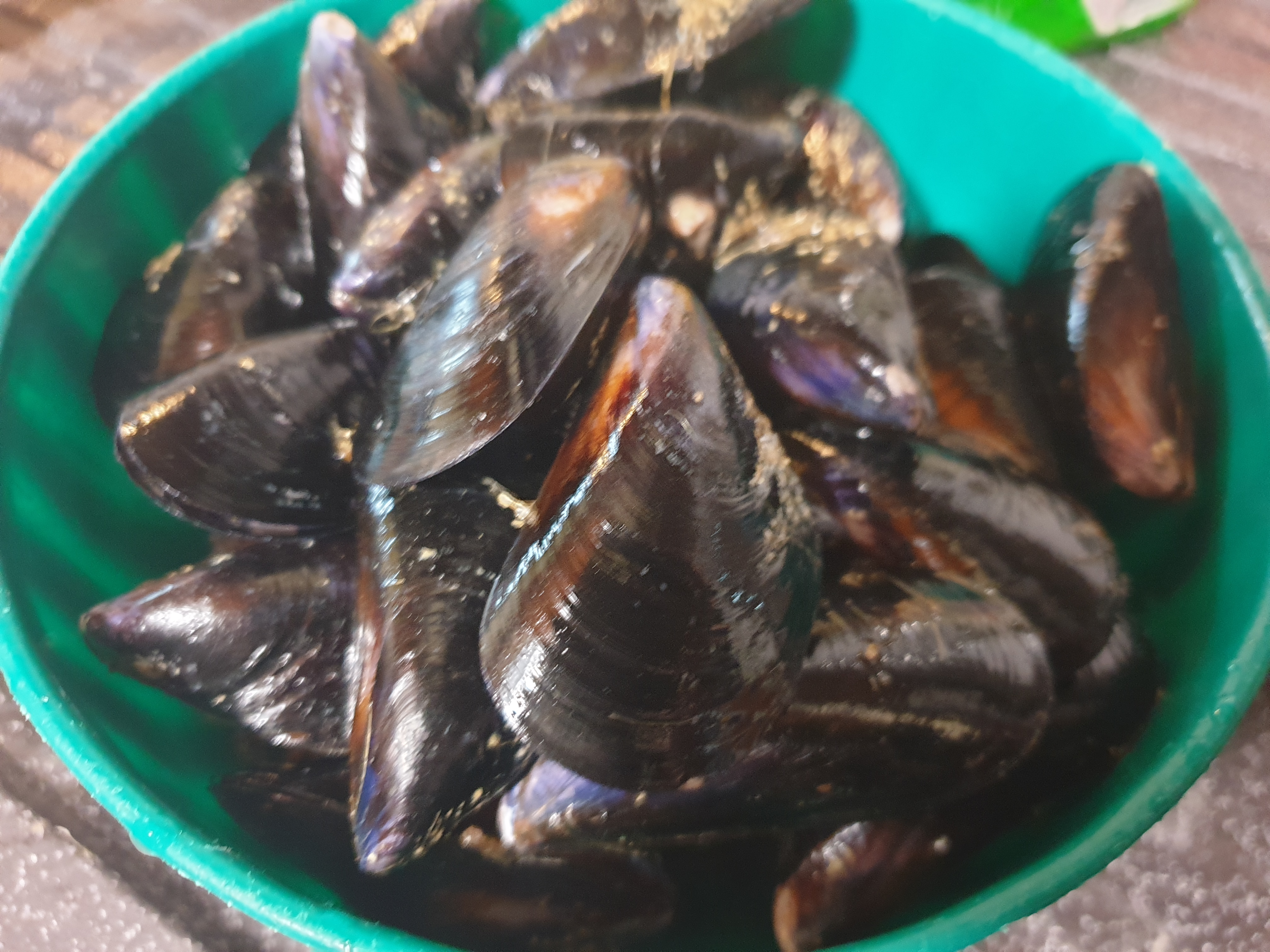 Cozze