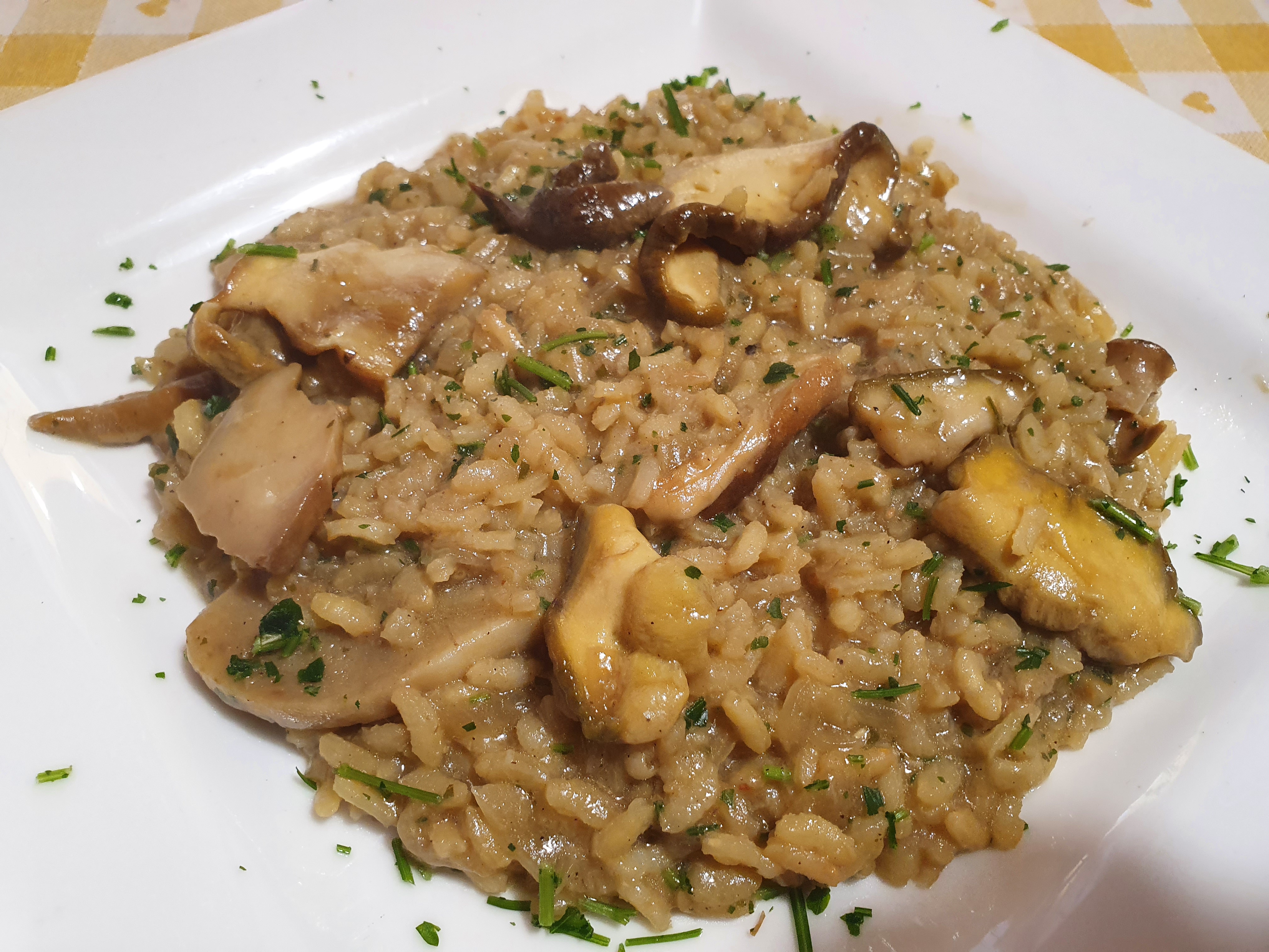 Risotto ai funghi porcini