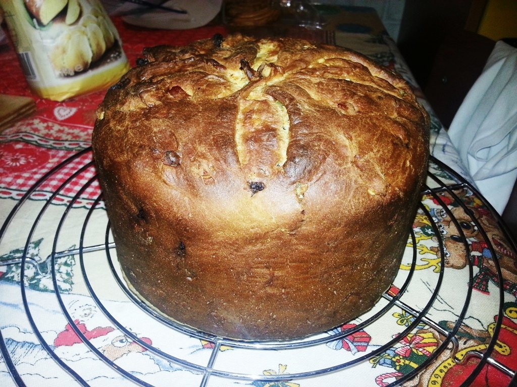 Panettone