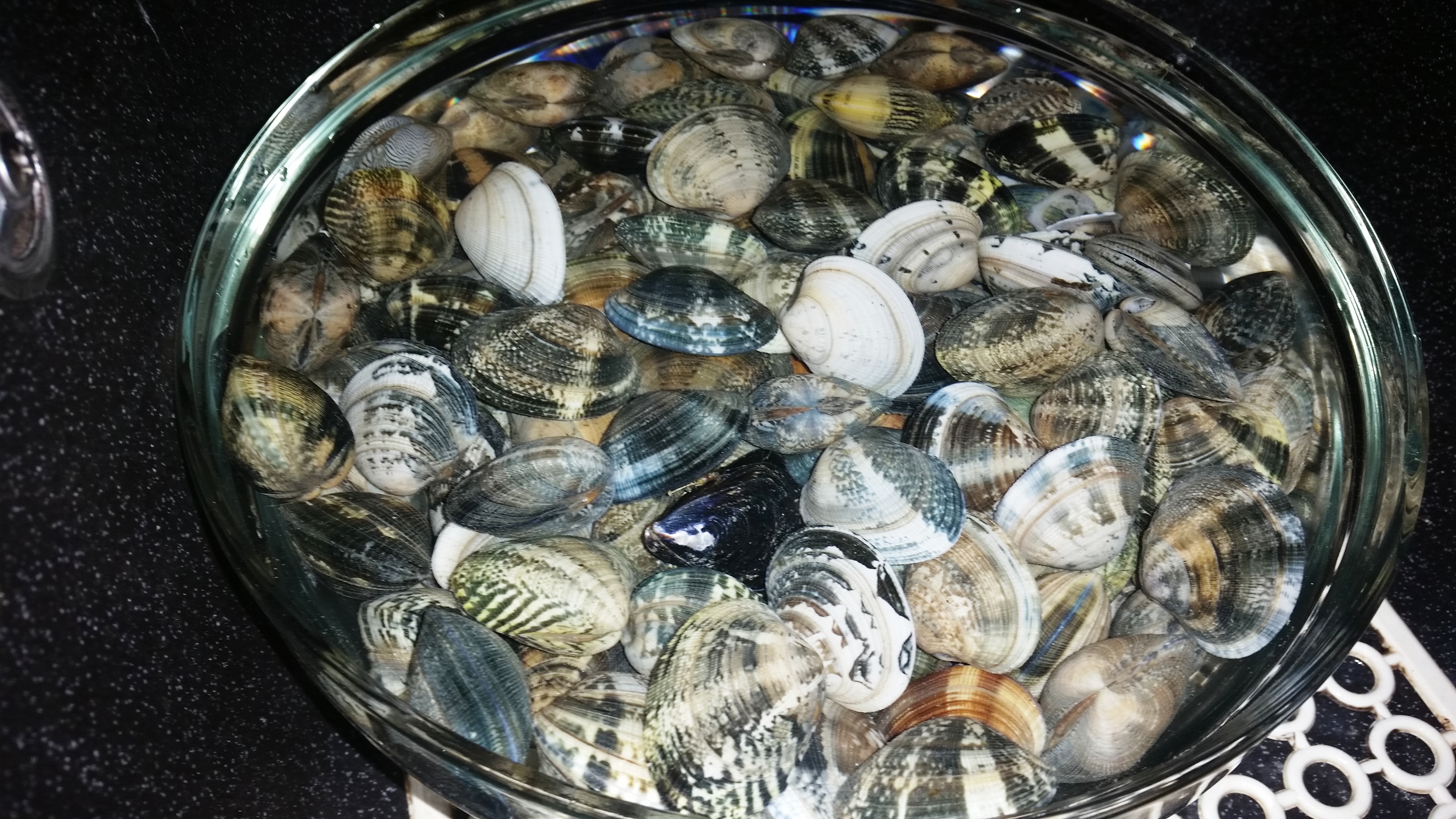 Le Vongole