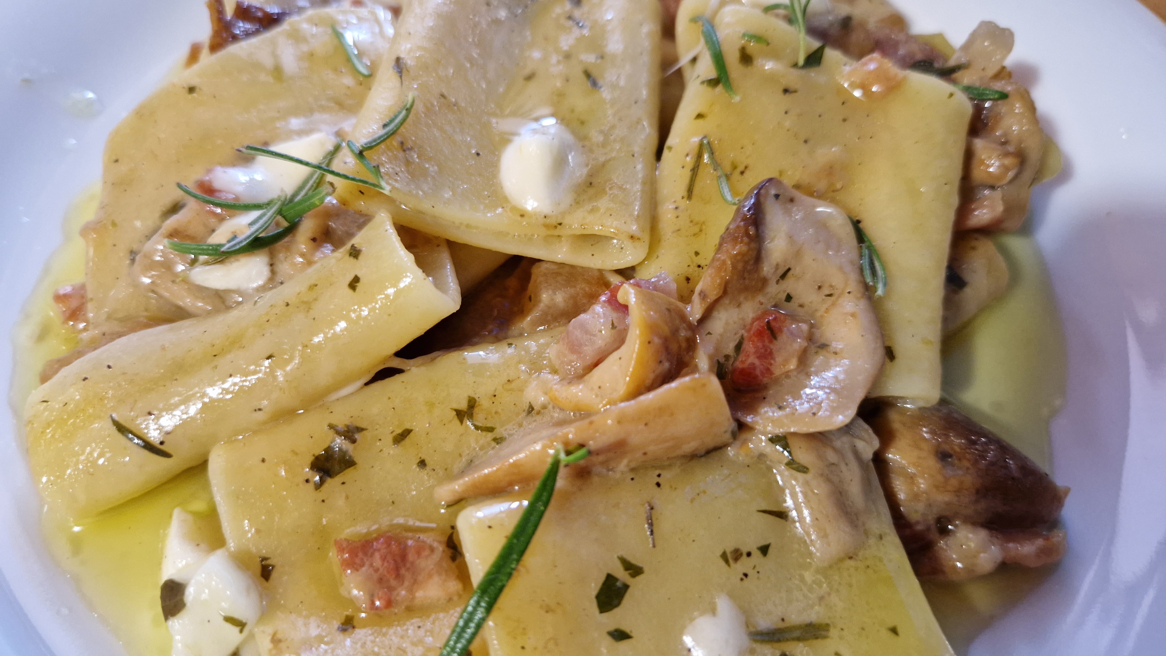 Paccheri porcini e provola